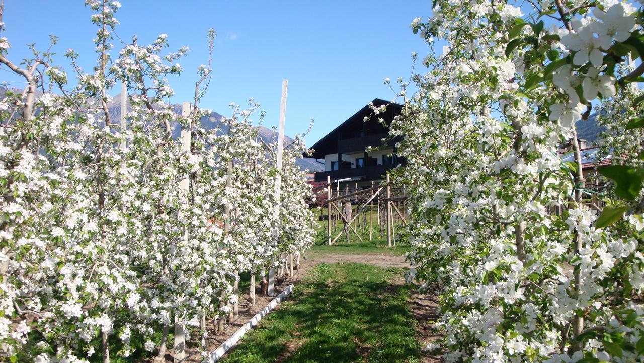 Pension Appartment Hecherhof Merano Dış mekan fotoğraf